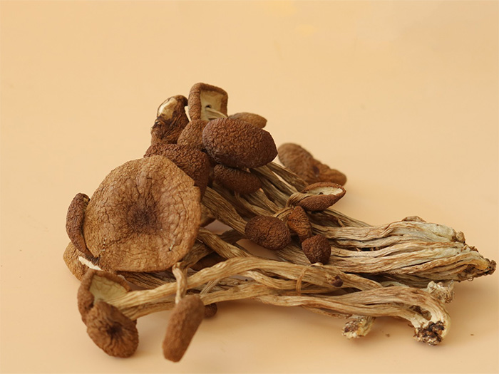 茶樹菇干貨